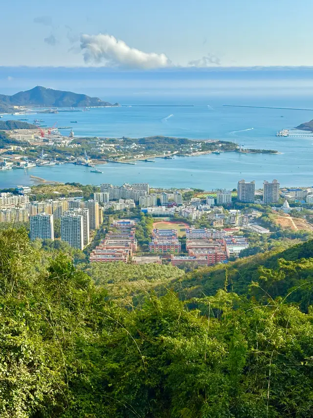 天然森林大氧吧獨一無二夢幻夜三亞鳳凰嶺景區