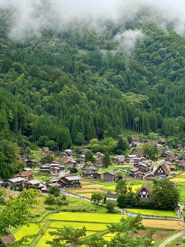 北陸秘境白川鄉｜我心目中嘅夏日綠洲