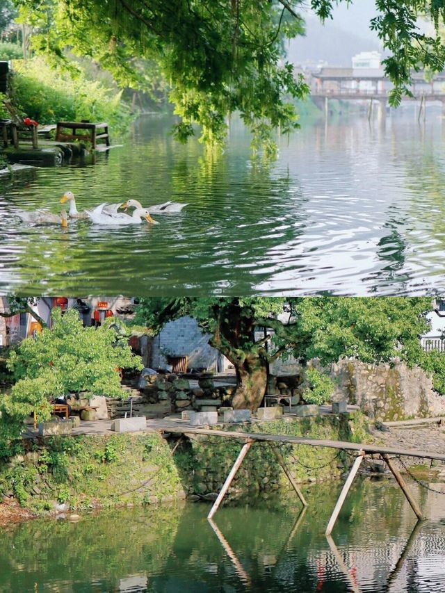 瑤里古鎮：解鎖千年秘境的獨特玩法