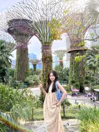 Cloud Forest Garden, and Starry Sky Garden in Singapore🥰❤️