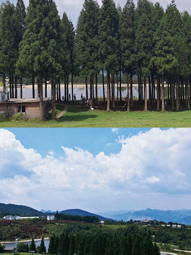 探索貴州六盤水玉舍森林公園，邂逅自然之美！