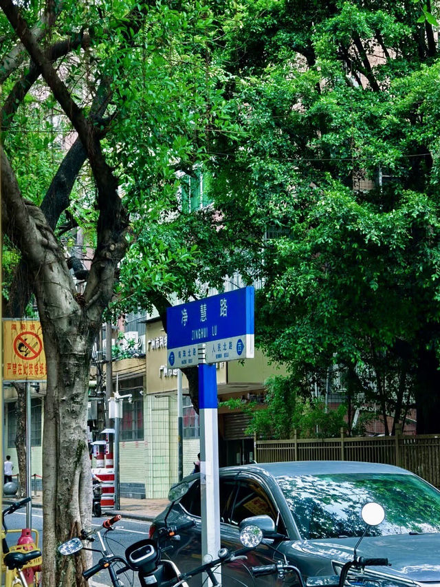 在梵音與榕樹間追尋古韻