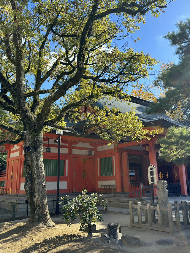 樂水園與住吉神社一日遊：心靈信仰的交織🌳⛩️
