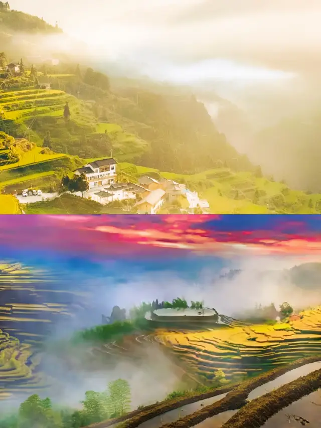 詩裡畫裡夢裡，桃源梯田等你