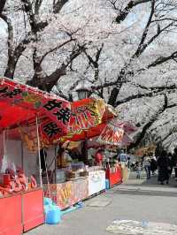 名古屋賞櫻攻略：歷史與現代交織的春日花海！