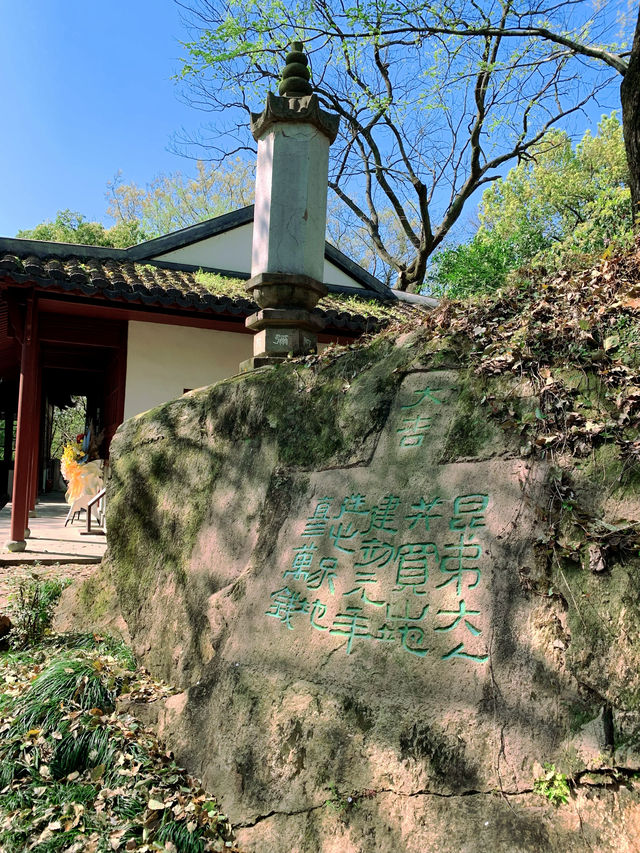 三月限定！杭州樓外樓賞桃花一日遊保姆級攻略 