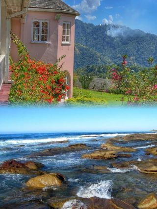 Kingston | A Sparkling Jewel of the Caribbean