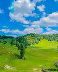 關山草原旅遊攻略