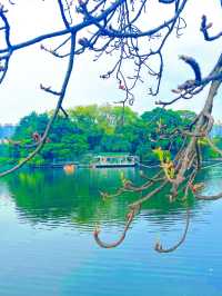 東山湖公園嘅中式美學