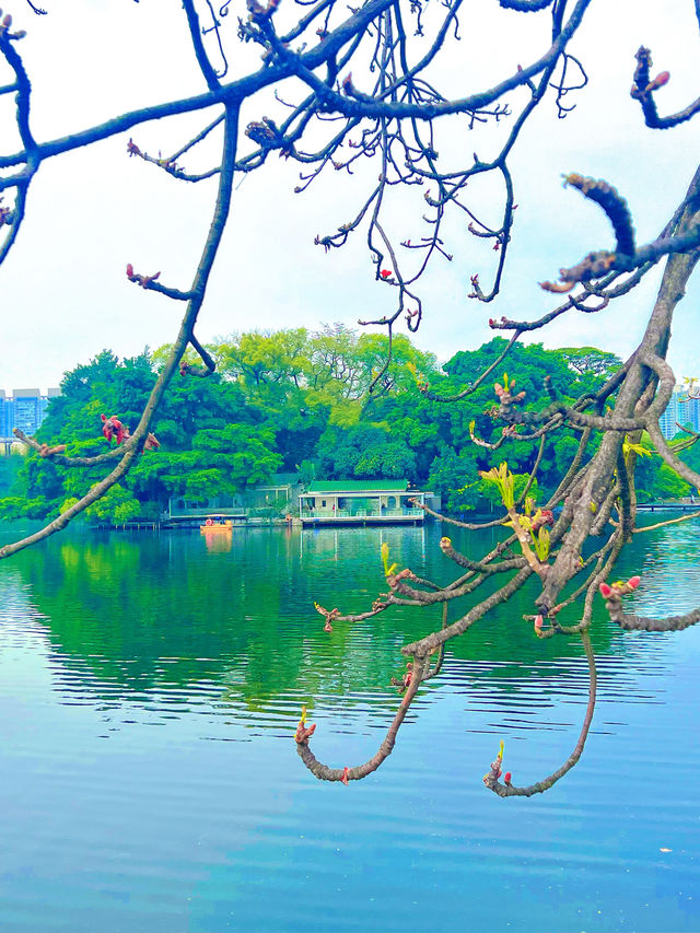 東山湖公園嘅中式美學