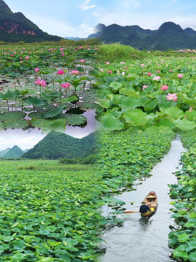 被低估嘅小眾旅行地！普者黑唔呃窮人，真係好抵玩