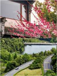 江浙滬2小時達 | 5個躺平休閒地週末說走就走
