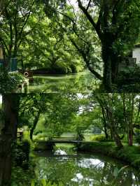 杭州西溪國家濕地公園超全旅遊攻略