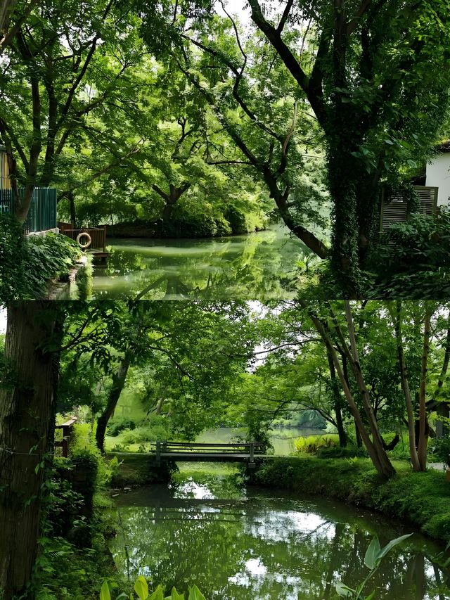 杭州西溪國家濕地公園超全旅遊攻略