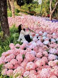 🌷珠海爆火！城市客廳美翻了，快來打卡📸