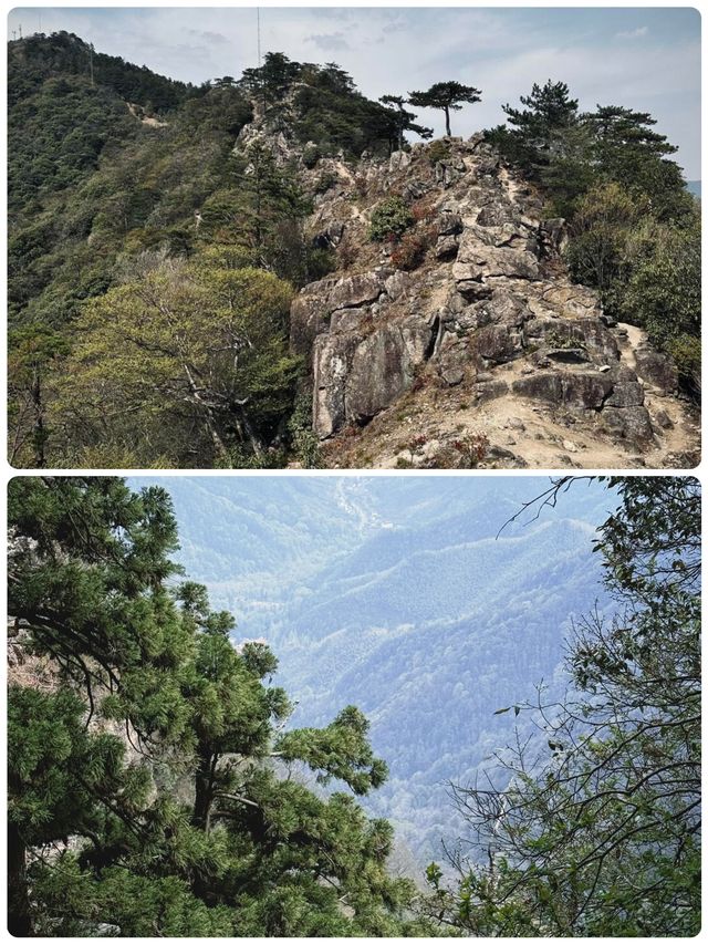佛系吸氧天花板！天目山保姆級避坑攻略