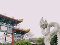 挑戰一星期遊一個公園-龍園