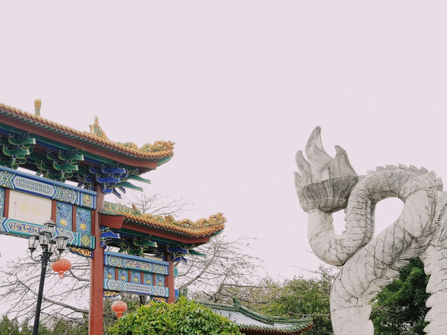 挑戰一星期遊一個公園-龍園