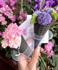 🌸 Discovering Sakura Ice Cream in Shanghai