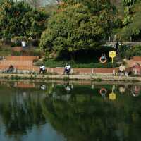 深圳中心公園 | 城市裡的悠然桃源