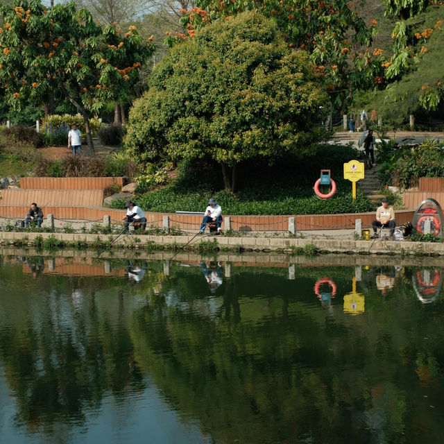 深圳中心公園 | 城市裡的悠然桃源