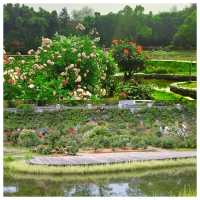華中地區最具生物多樣性的賞花勝地——武漢植物園