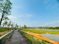 石岩湖濕地公園 | 環湖徒步騎行天花板