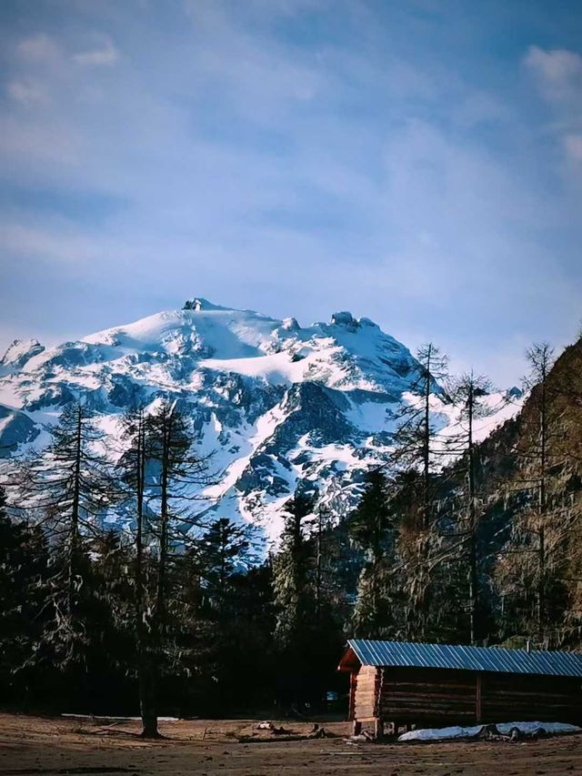 哈巴雪山杜鵑花季及露營體驗