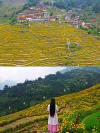 桂林山水秘境·六景聯動拍攝寶典
