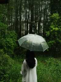 恬然徽州夢，雨後西溪南的靜謐時光