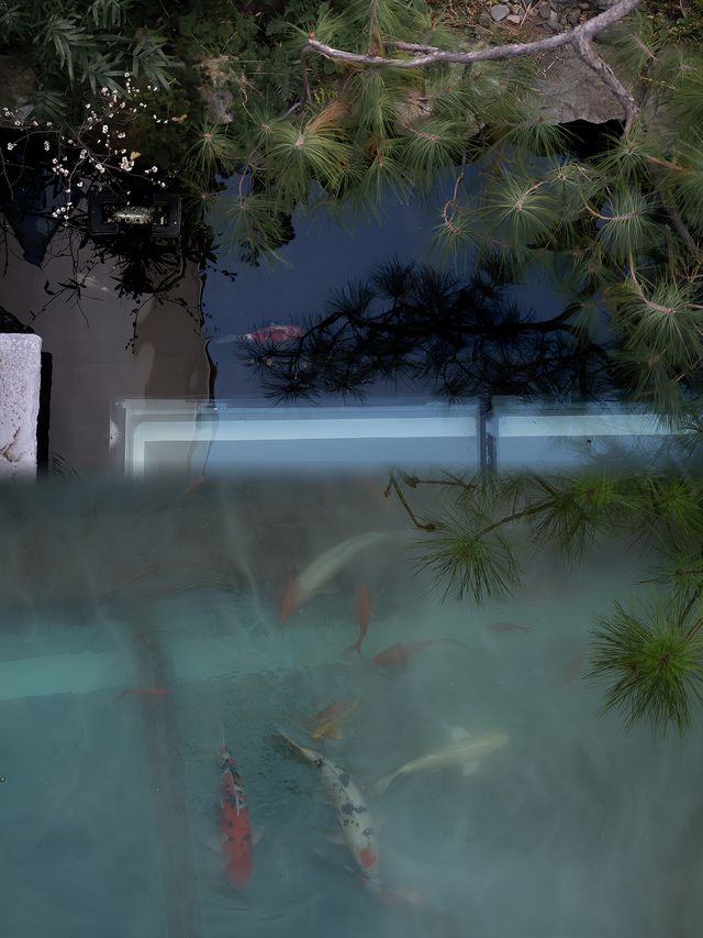 在歸淵，拍到了我的血脈覺醒照片