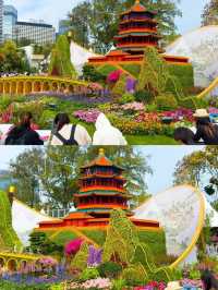🌺香港維多利亞港花卉展2025：仿佛童話世界的美麗盛宴🌺