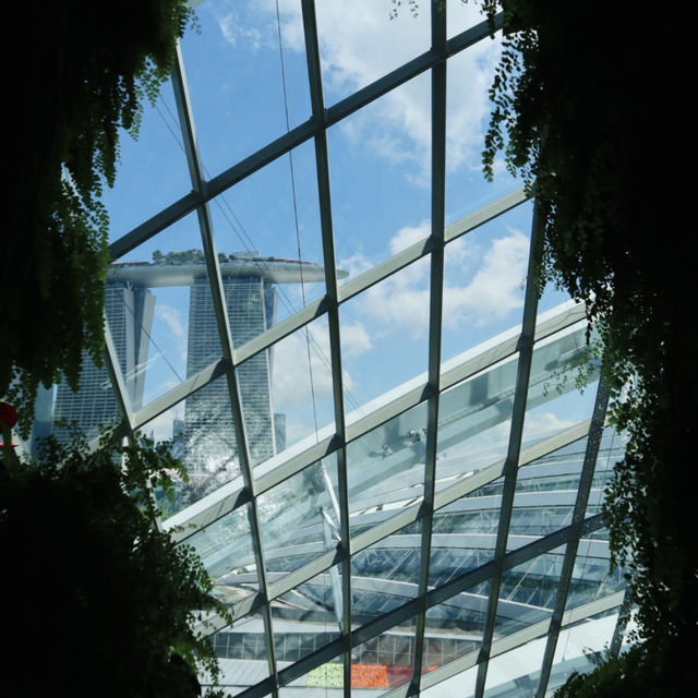 🌿新加坡濱海灣花園 | 植物冷室全攻略
