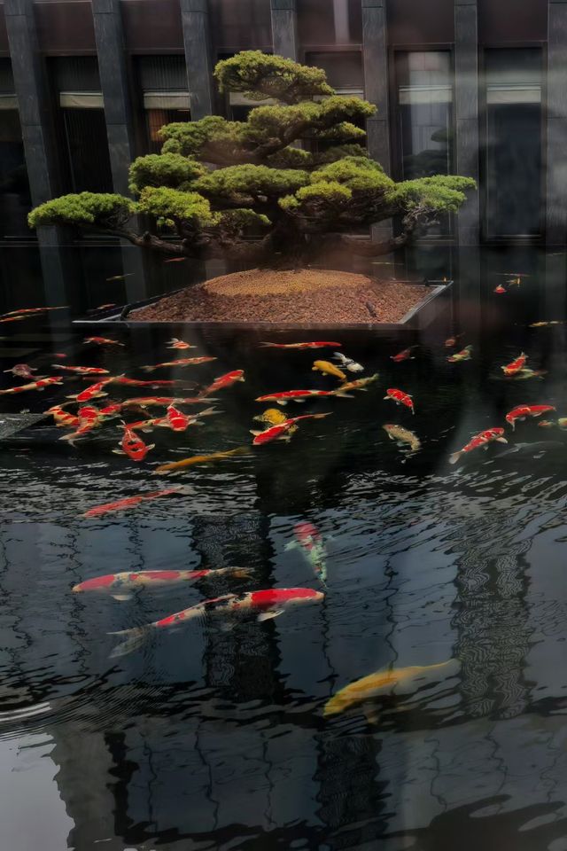 酒店測評~蘇州柏悅酒店