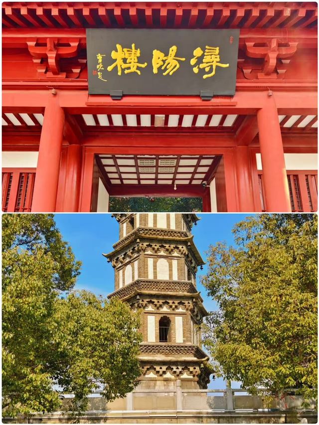 啱啱喺九江返嚟，講啲唔好聽嘅大實話