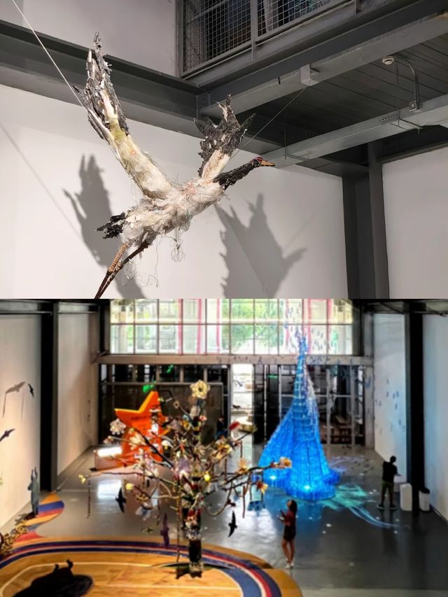 上海免費新展！低頭撿起星光！好震撼！