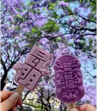 昆明藍花楹太好拍啦