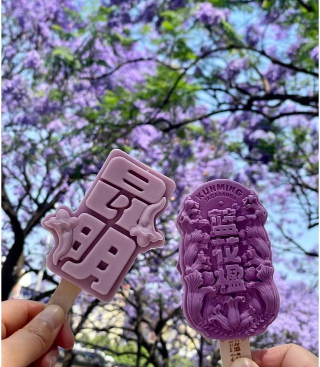 昆明藍花楹太好拍啦