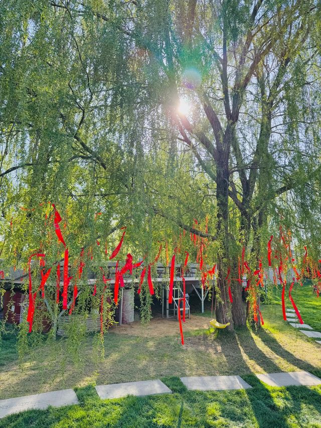 在丁香湖邂逅橘子海