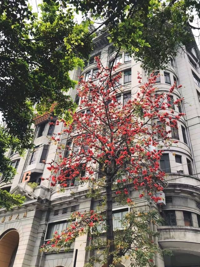  Guangzhou for vacation, in addition to visiting the Canton Tower and Yongqingfang, 🇨🇳