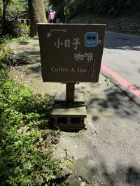 The Cutest Mountain Top Coffee Spot, Hidden In The Trees! A Caffeine Oasis ❤️ ☕️ 🌲 