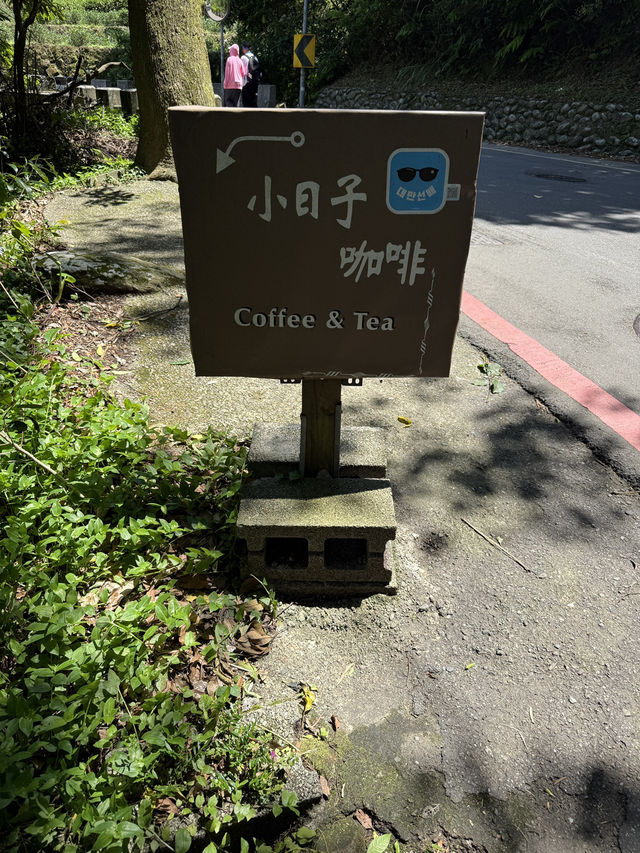The Cutest Mountain Top Coffee Spot, Hidden In The Trees! A Caffeine Oasis ❤️ ☕️ 🌲 