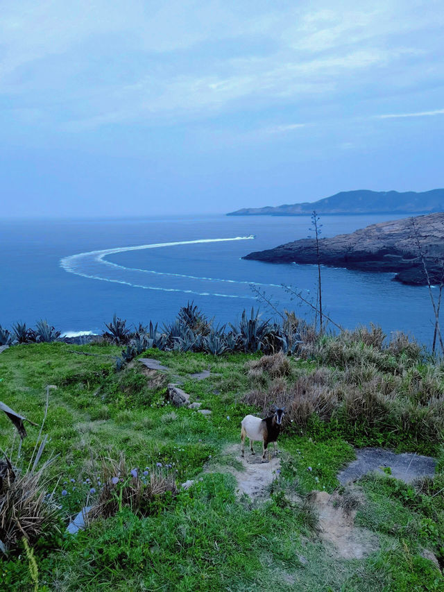 福鼎 | 一場逃離喧囂的山海奇遇
