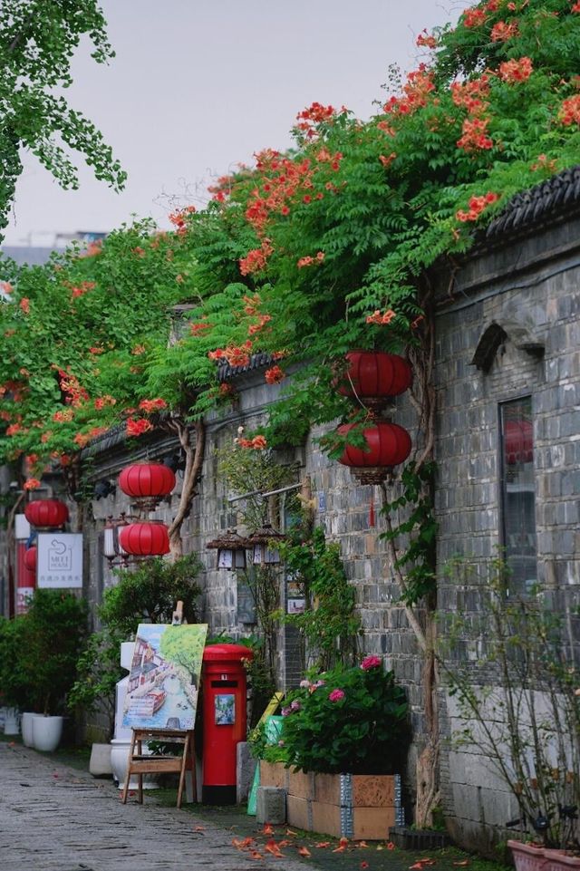 南京老門東｜清晨6點，凌霄花盛開的雨巷