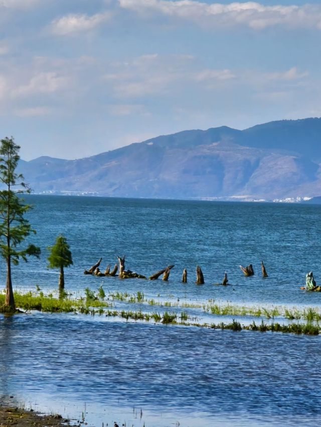 去洱海觀賞不一樣的風景