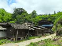 探索清流溫家山