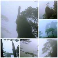 三清山雨天遊山攻略