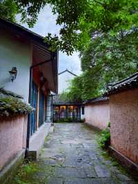 西溪煙雨後：濕地嘅朦朧水墨技法，濕地植物嘅棱鏡折射藝術