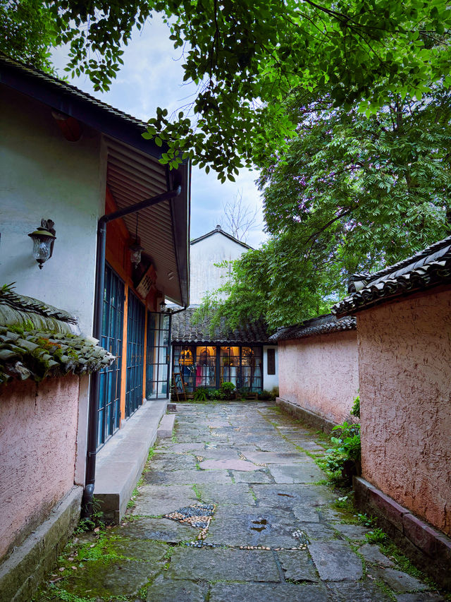西溪煙雨後：濕地嘅朦朧水墨技法，濕地植物嘅棱鏡折射藝術