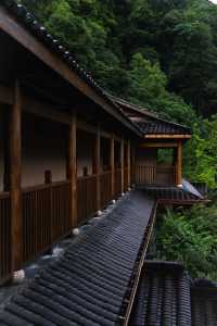雨落牯牛降｜我花一日時間，聽山野呼吸